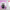 Funny Black Cat pink Shower Curtain