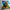 Rainbow Pompom Dog Shower Curtain