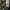 Candy Cane Christmas Shower Curtain