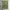 Caribbean Sea Map Shower Curtain