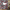 Gray Hello Kitty Shower Curtain