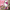 Hello Kitty Pastries Shower Curtain