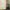 Holographic Iridescent Shower Curtain
